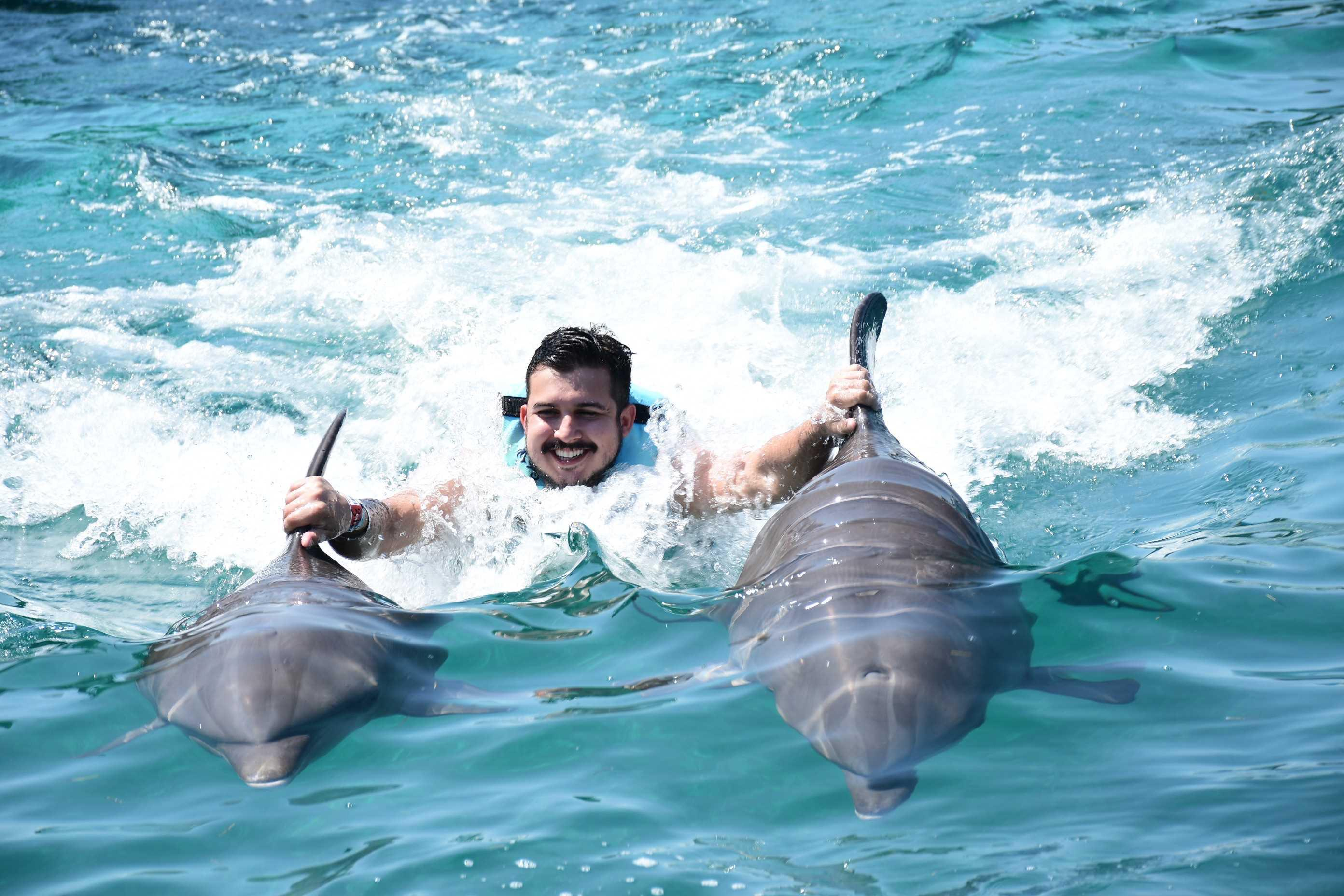 Nado com golfinhos - Cancún